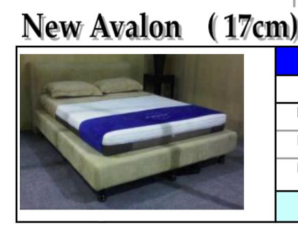 Revor New Avalon 17 cm