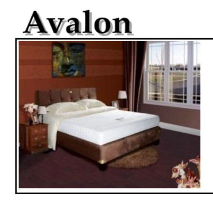 Revor Avalon (5 Zones Full Natural Latex) 22 cm