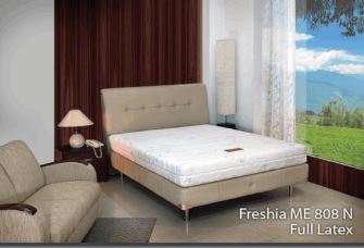 Freshia ( 26cm )