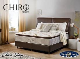 Sleep & Dream Chiro Sleep